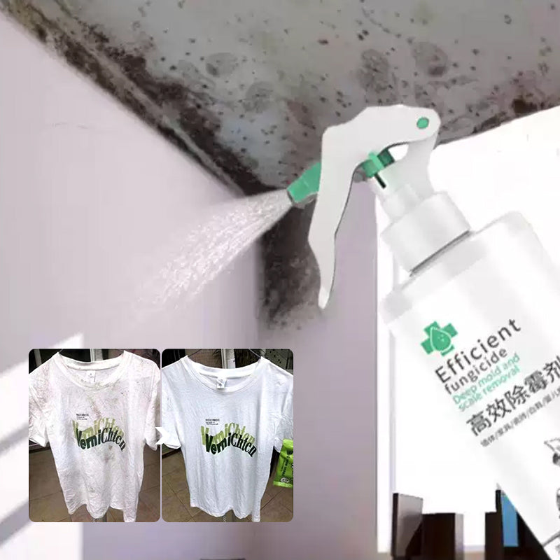 Nettoyant concentré contre les moisissures