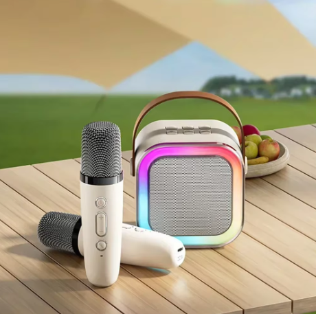 Portable Bluetooth Speaker and Wireless Microphones Karaoke Set