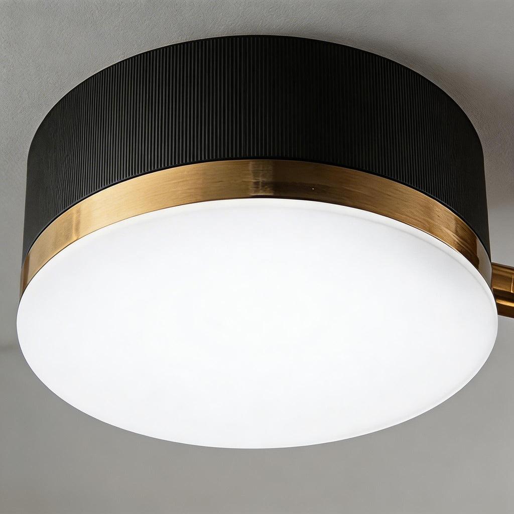 Adjustable Sputnik Ceiling Light — Dimmable LED, Iron and Acrylic, 4 6 8 Light Options