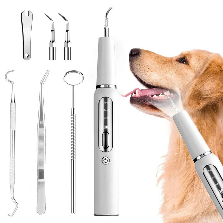 Sonic Pet Oral Cleaning Tool — Gentle Dental Hygiene Brush