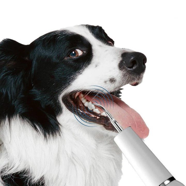Sonic Pet Oral Cleaning Tool — Gentle Dental Hygiene Brush