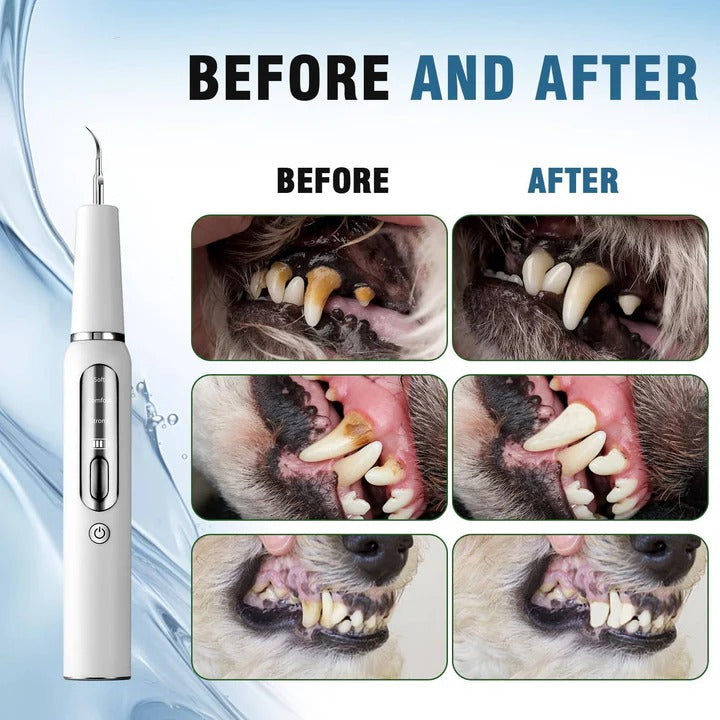 Sonic Pet Oral Cleaning Tool — Gentle Dental Hygiene Brush