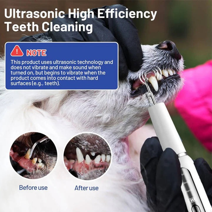 Sonic Pet Oral Cleaning Tool — Gentle Dental Hygiene Brush
