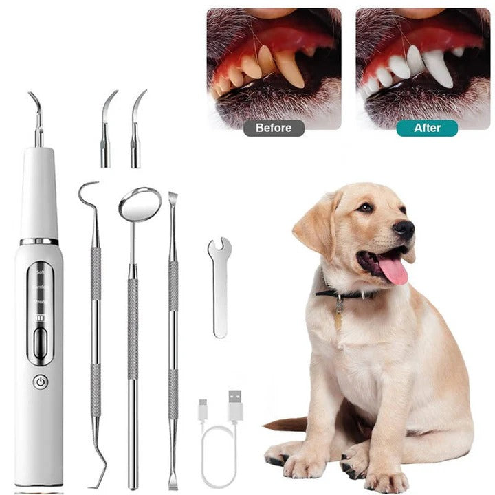 Sonic Pet Oral Cleaning Tool — Gentle Dental Hygiene Brush