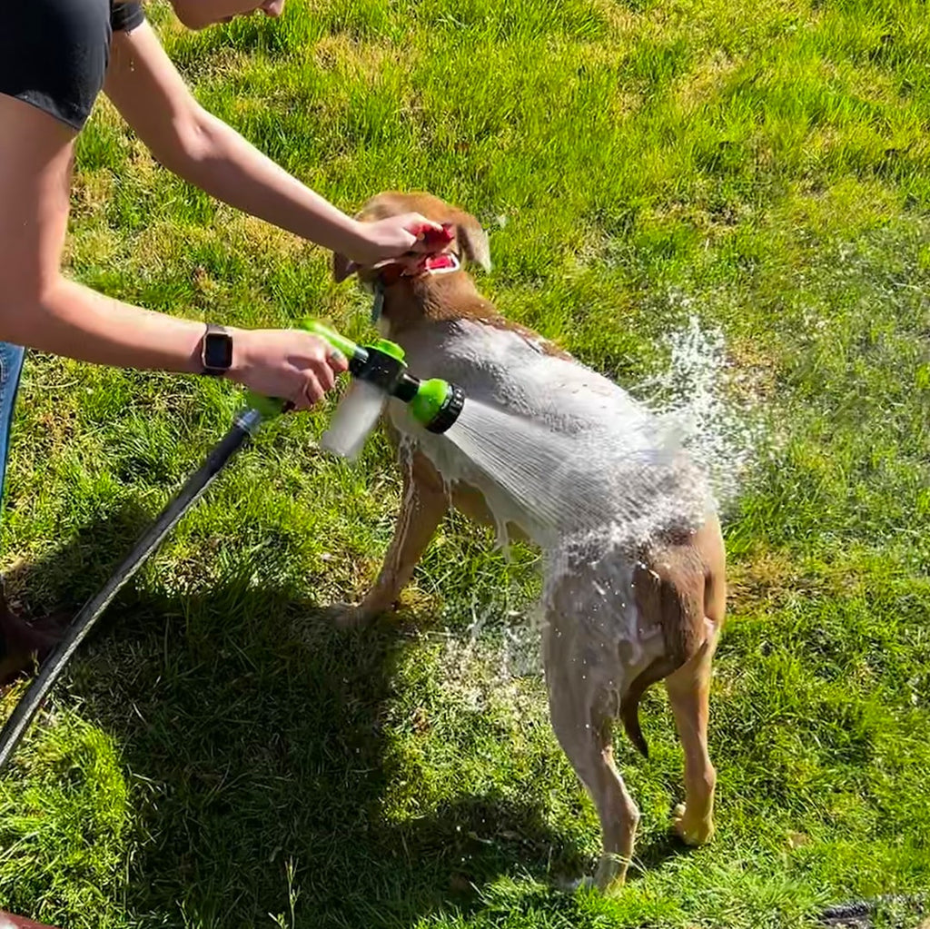 Ducha de mano WashBuddy para bañar perros