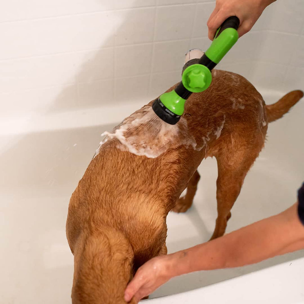 Ducha de mano WashBuddy para bañar perros