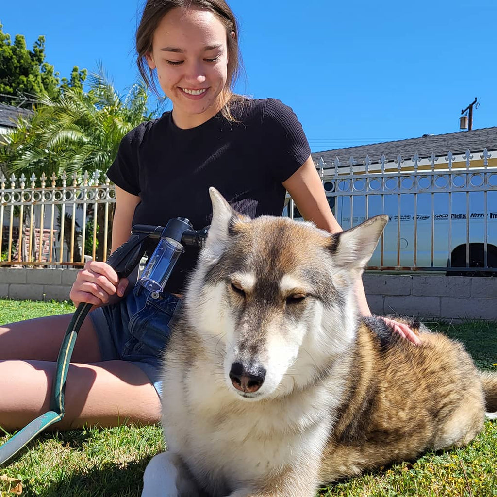 Ducha de mano WashBuddy para bañar perros