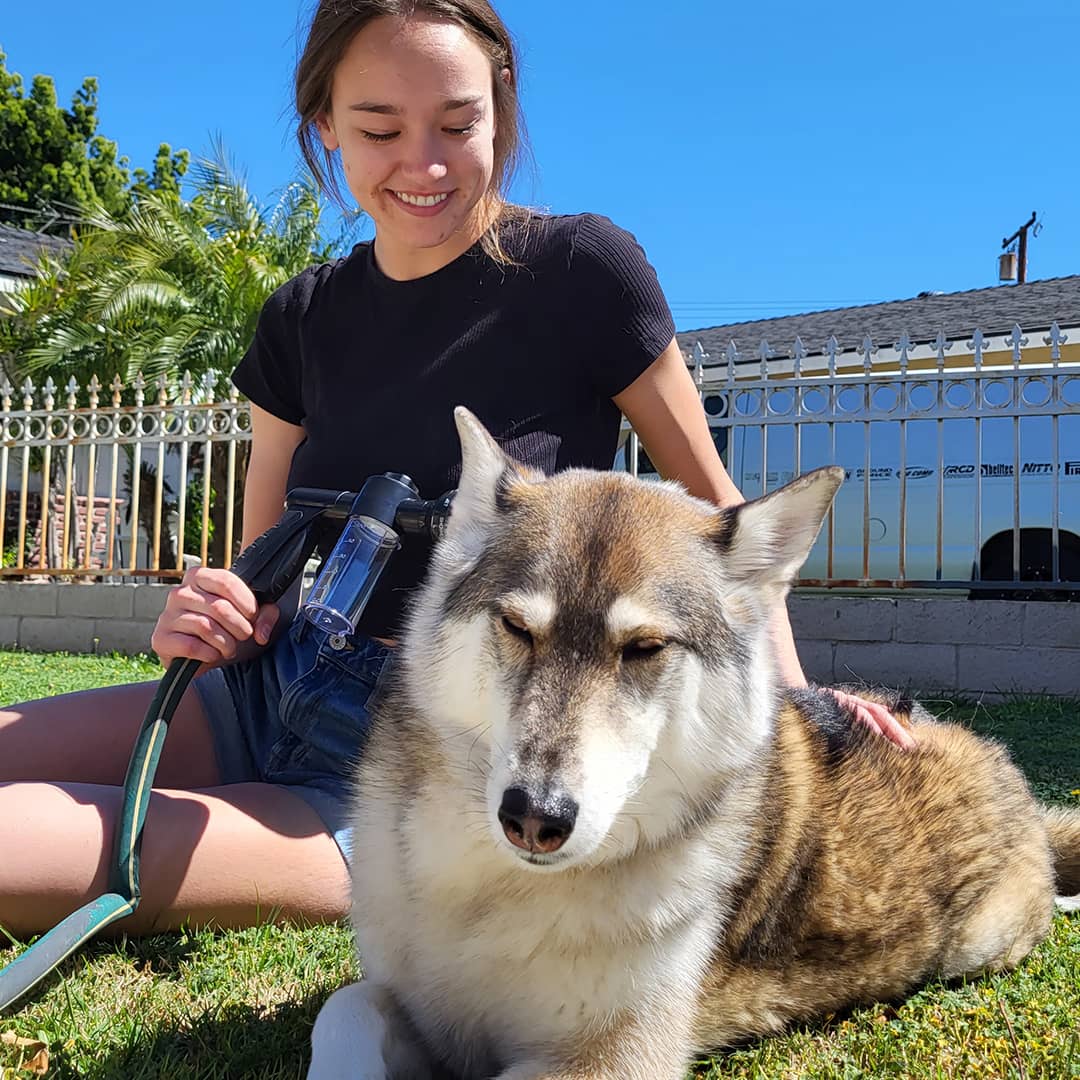 Ducha de mano WashBuddy para bañar perros