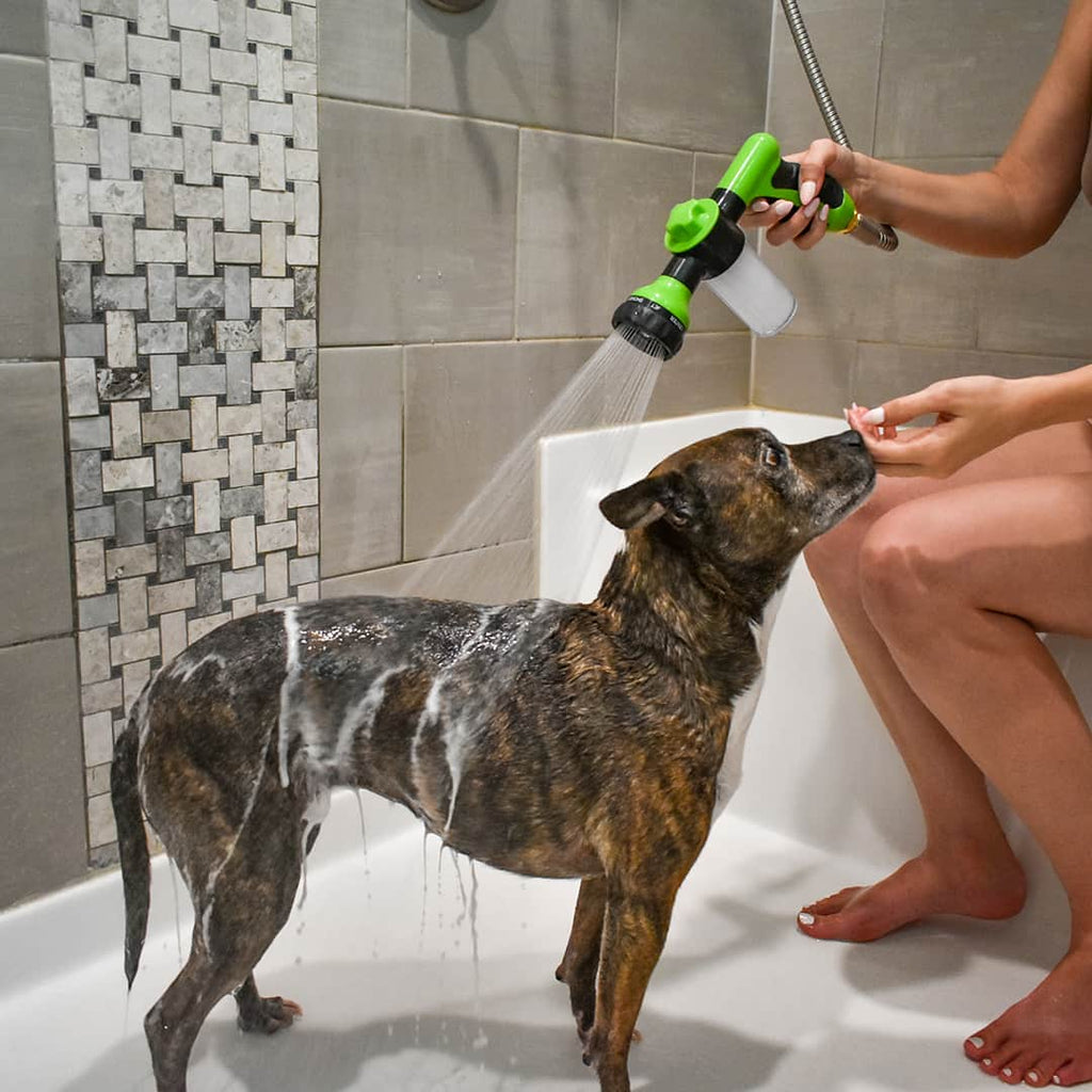 Ducha de mano WashBuddy para bañar perros