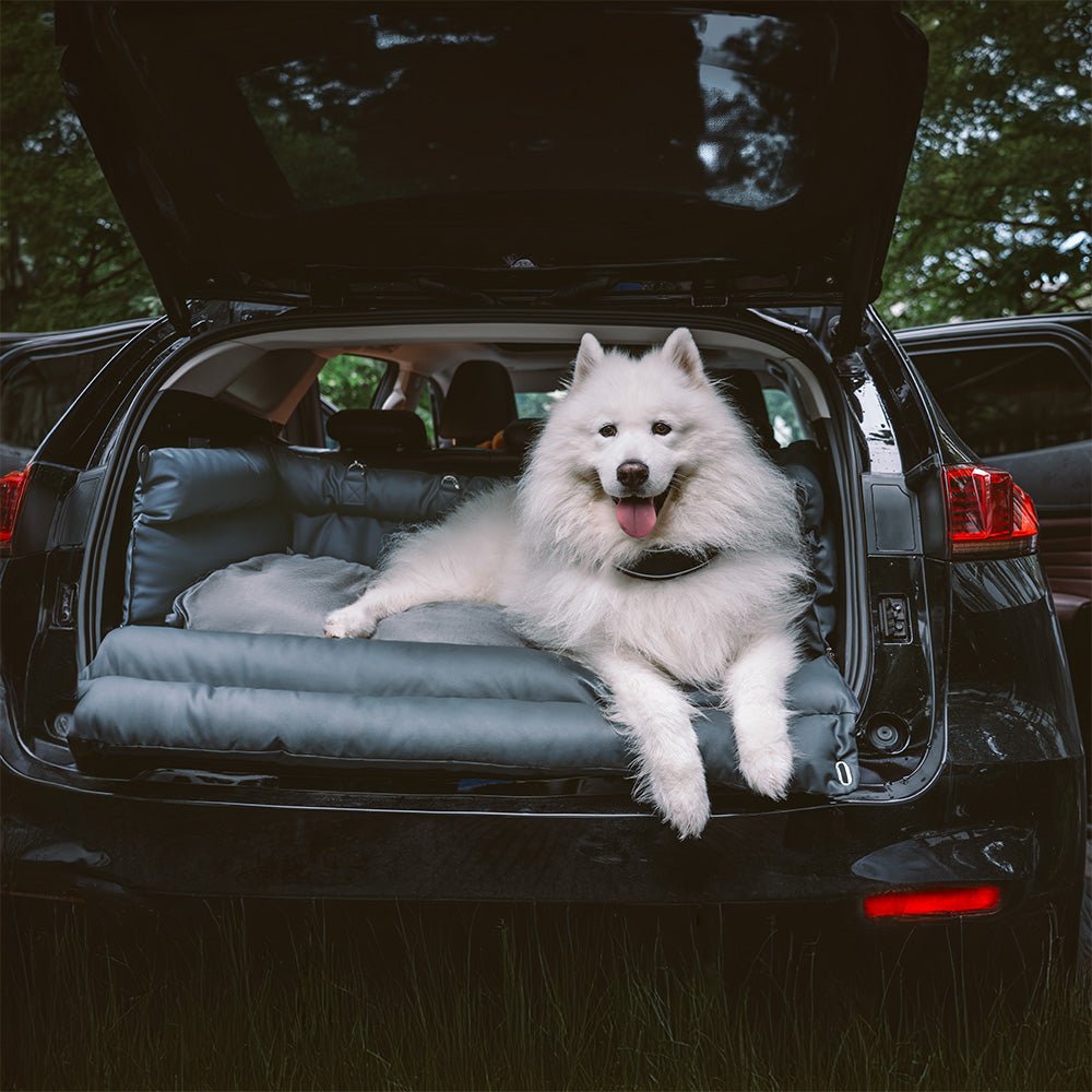 Cuccia-seggiolino auto per cani di taglia grande PAWPRESTIGE — Struttura premium in similpelle