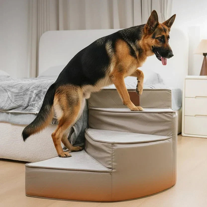 Scaletta per animali a tre gradini Pawstep Elite — Design in similpelle antiscivolo