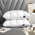 Premium Goose Down Insert – Luxurious Softness & Contoured Support