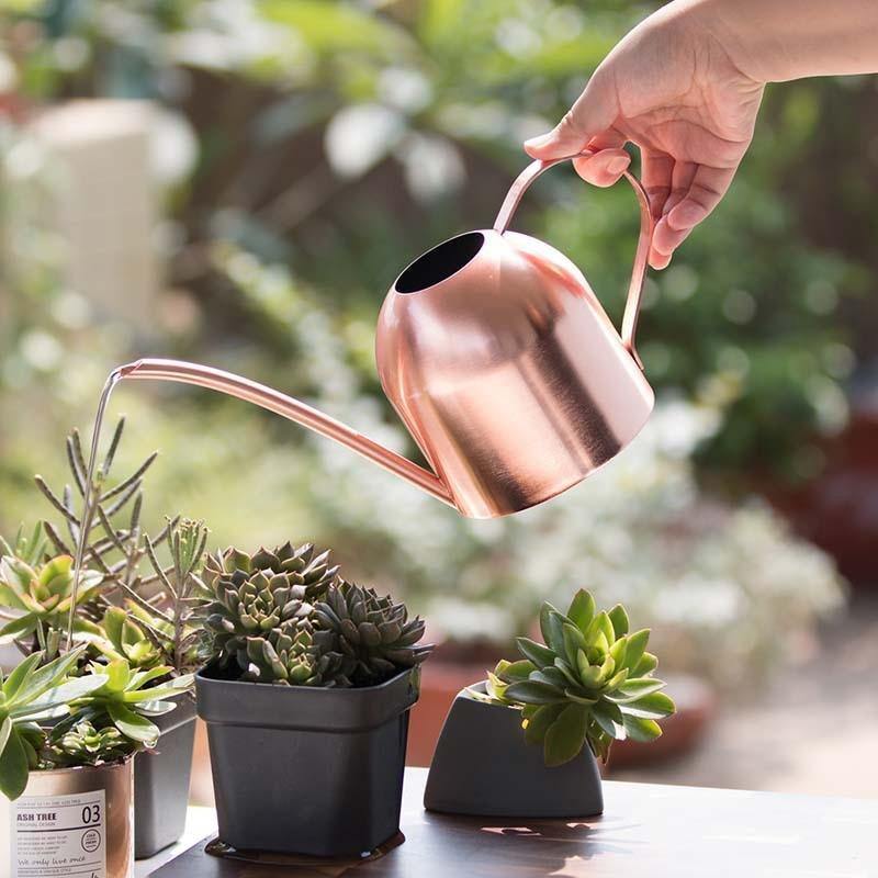 Regadera AquaGrace de acero inoxidable resistente al óxido — Pico flexible, diseño moderno