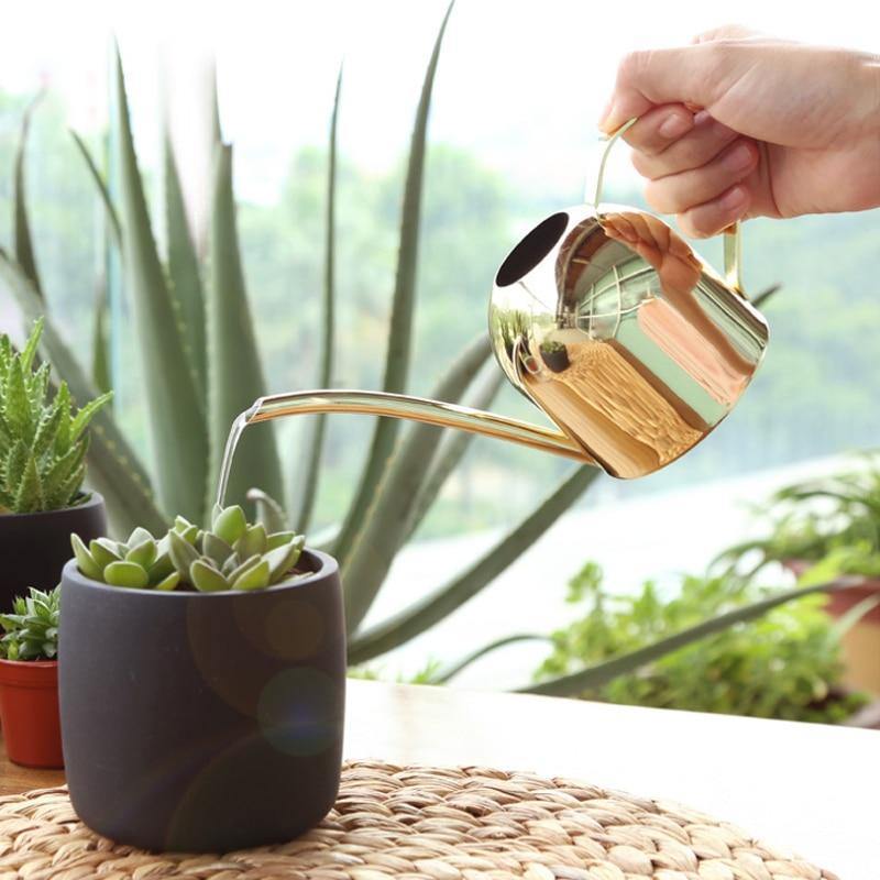 Regadera AquaGrace de acero inoxidable resistente al óxido — Pico flexible, diseño moderno
