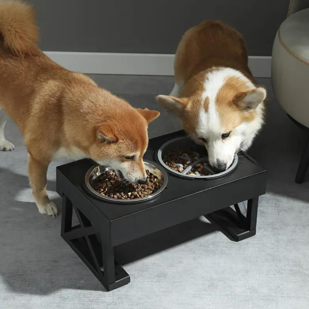 PupLift megemelt kutyatál - ergonomikus emelt állvány, lassú etetést biztosító kialakítás