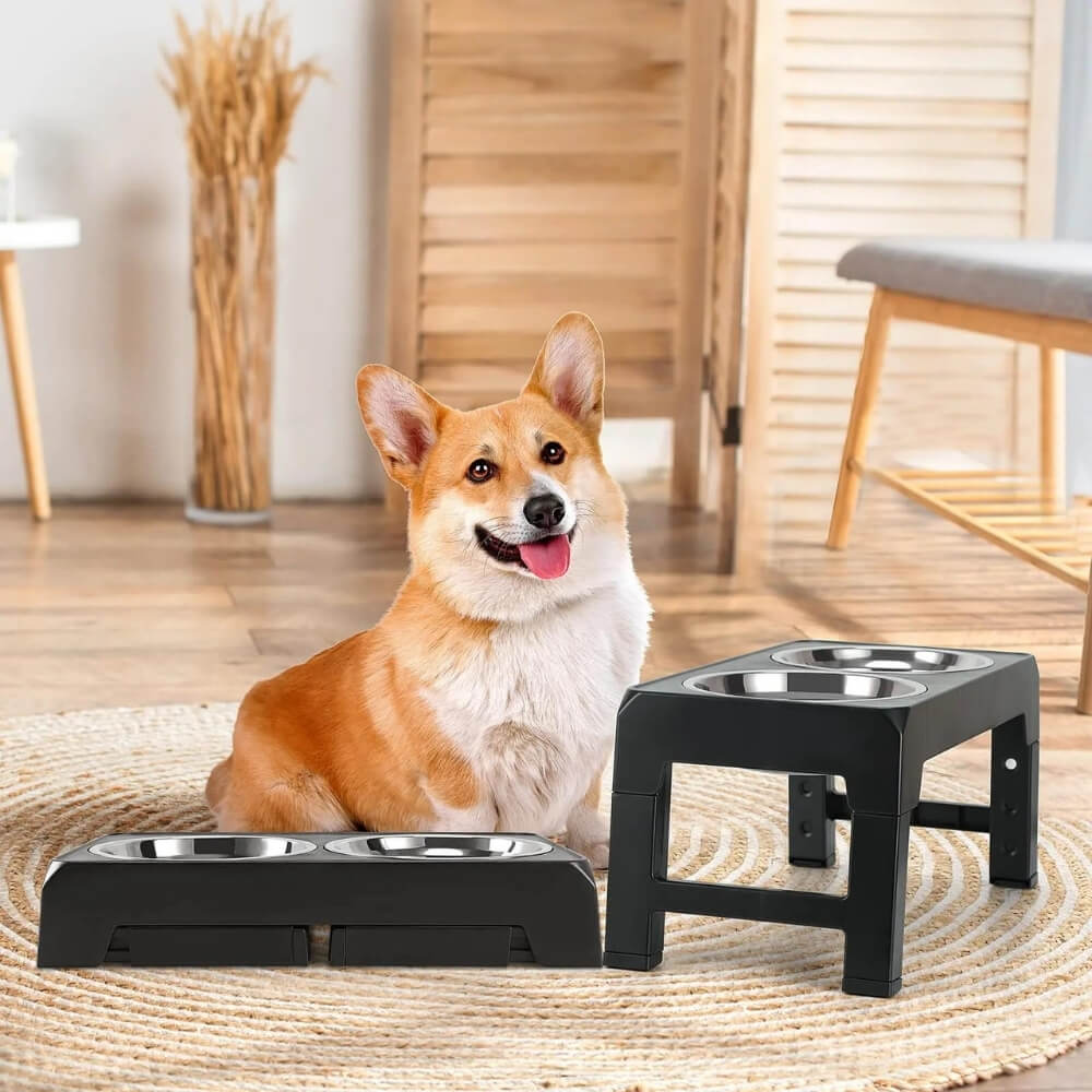 PupLift megemelt kutyatál - ergonomikus emelt állvány, lassú etetést biztosító kialakítás