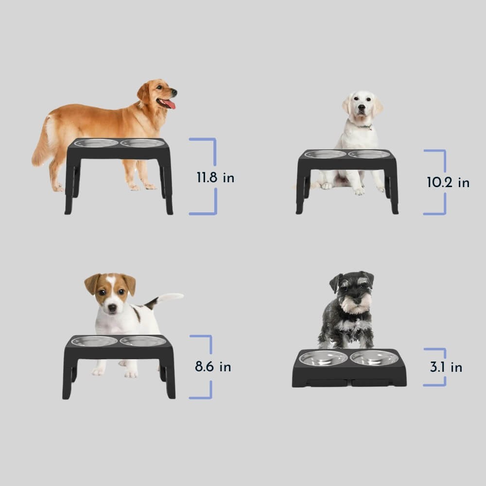 PupLift megemelt kutyatál - ergonomikus emelt állvány, lassú etetést biztosító kialakítás