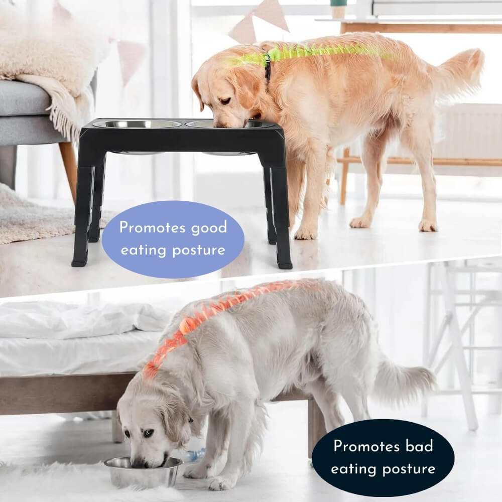 PupLift megemelt kutyatál - ergonomikus emelt állvány, lassú etetést biztosító kialakítás