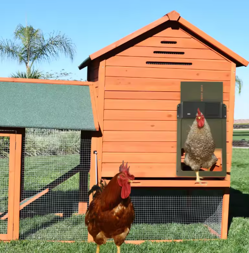Heavy Duty Manual Metal Chicken Coop Door