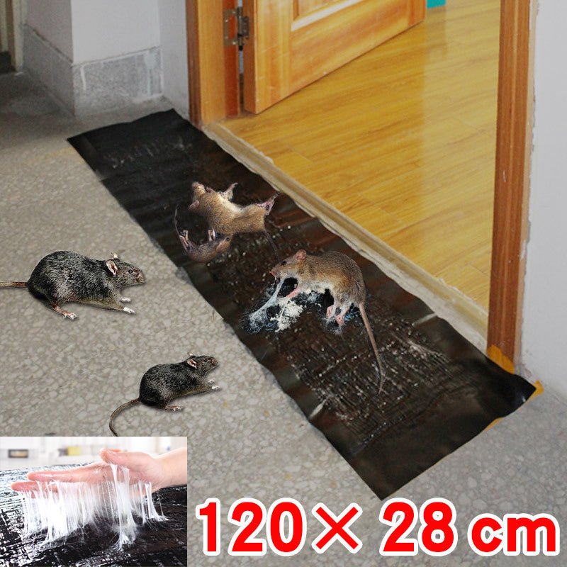 Trappola adesiva atossica grande TRAPZONE MAX — Tavola adesiva per infestanti in formato largo