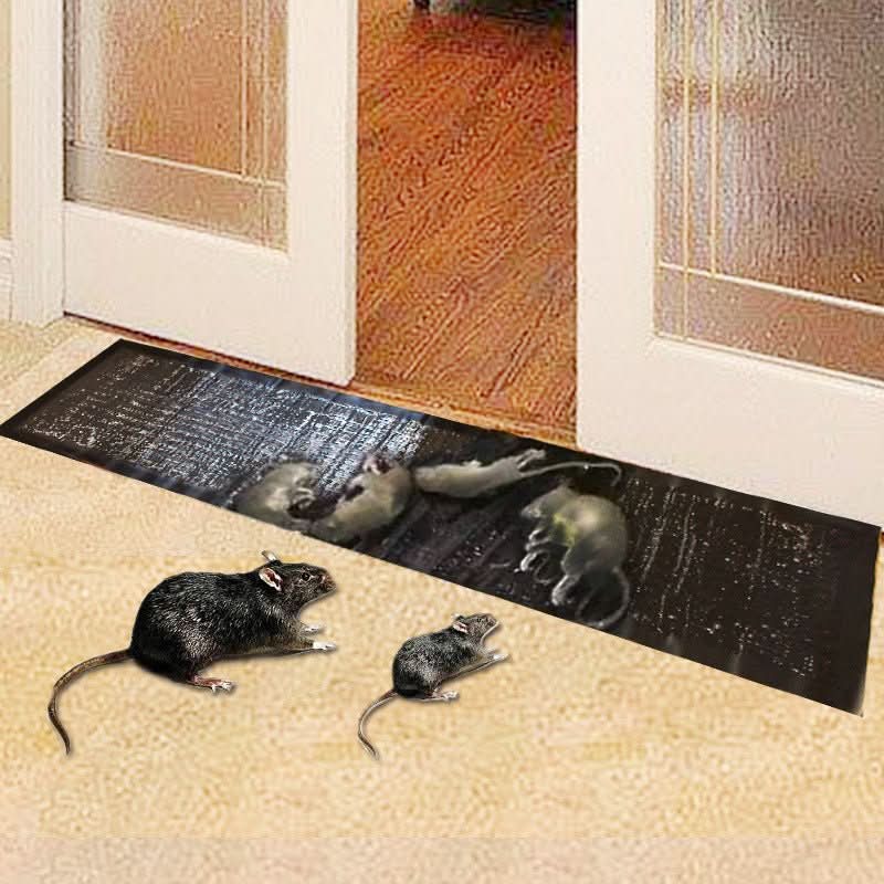 Trappola per insetti domestici non tossica Trapzone Max — Ampia superficie adesiva di cattura