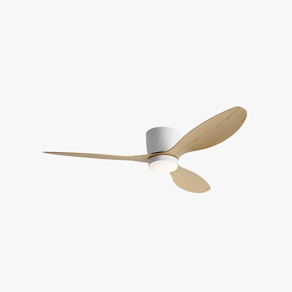 Modern Ceiling Fan Light With Inverter Silent Design | boxzora