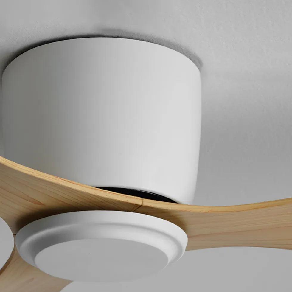 Modern Ceiling Fan Light With Inverter Silent Design | boxzora