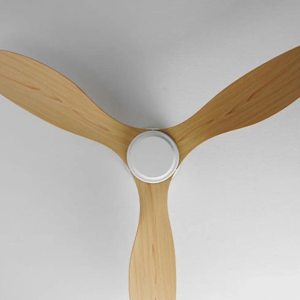 Modern Ceiling Fan Light With Inverter Silent Design | boxzora
