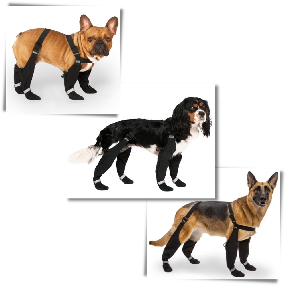 Stivaletti impermeabili per cani — bretelle per una vestibilità sicura