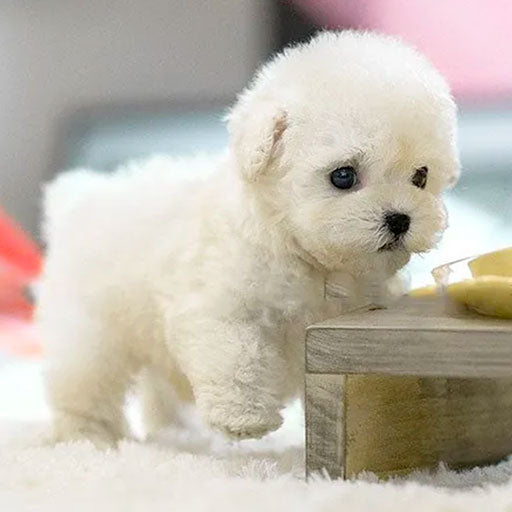 Realistic Interactive AI Robot Puppy — Plush Design, Walking and Barking Actions
